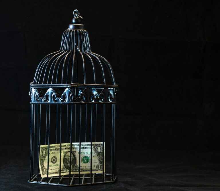A dollar bill imprisoned in a decorative cage symbolizing financial confinement.